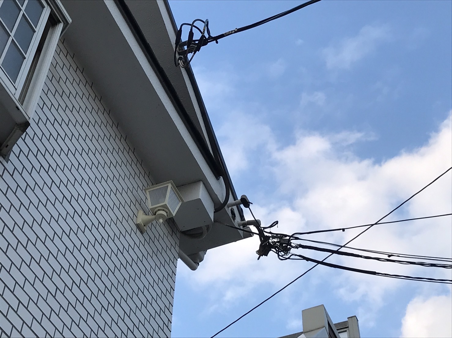 アップロードファイル 48-1.jpeg